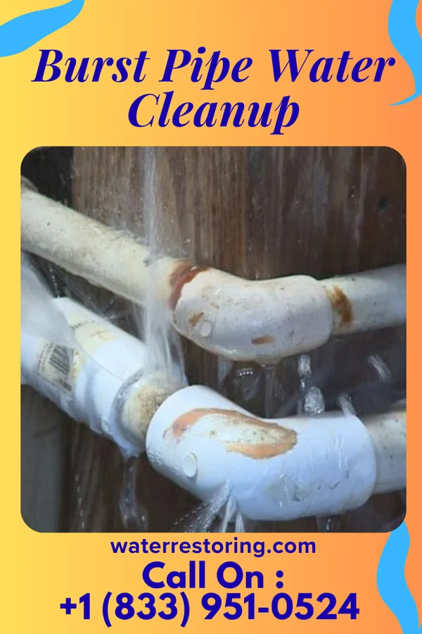 Burst Pipe Water Cleanup in Fulton, KS