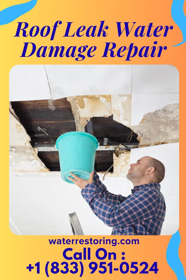 Roof Leak Water Damage Repair in Fulton, KS
