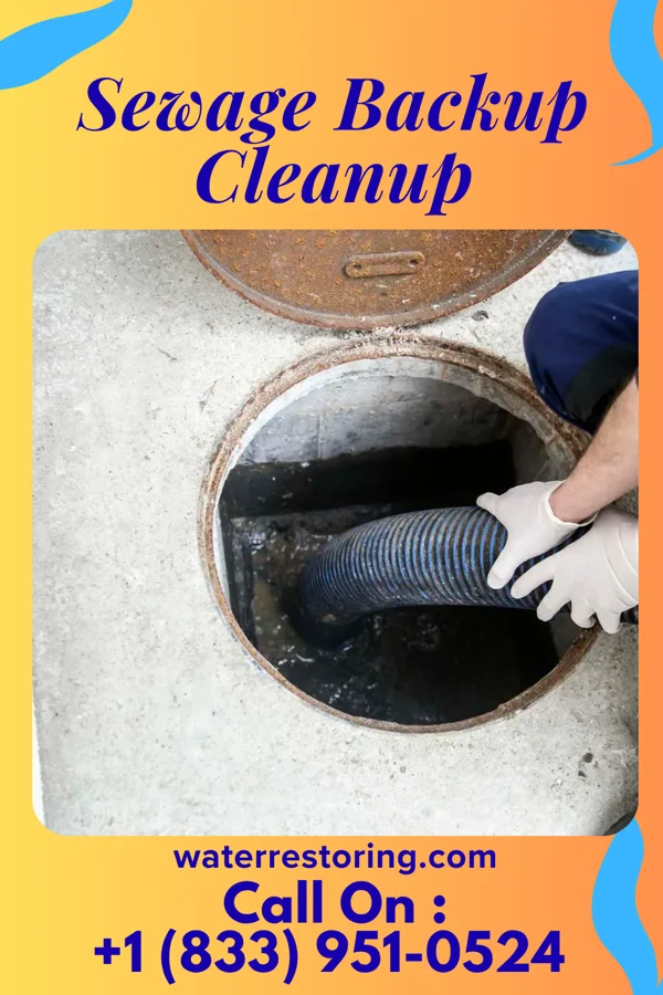 Sewage Backup Cleanup in Fulton, KS