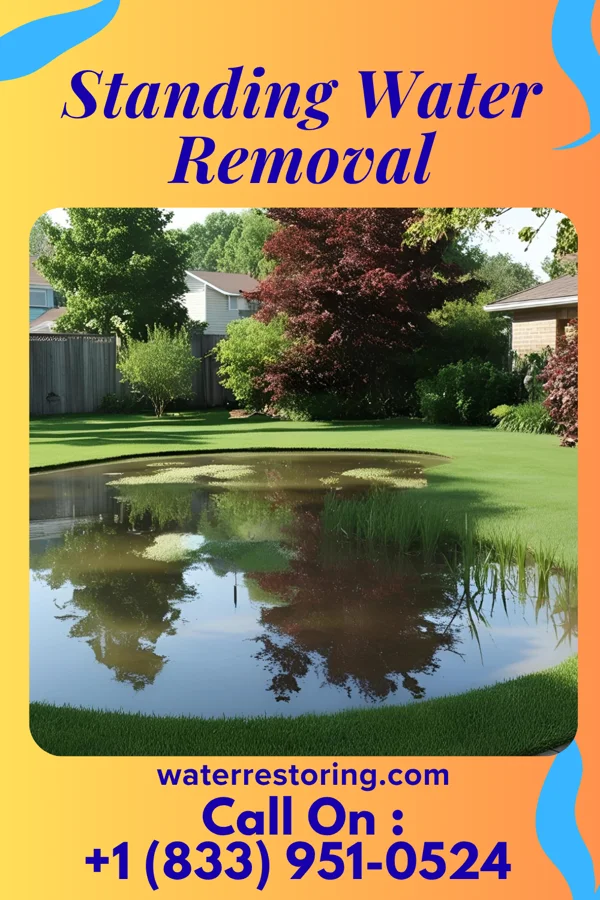 Standing Water Removal in Fulton, KS